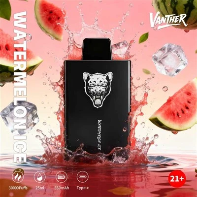 Bang King VANTHER 30000 PUFFS-DSK077 Cheap Vape